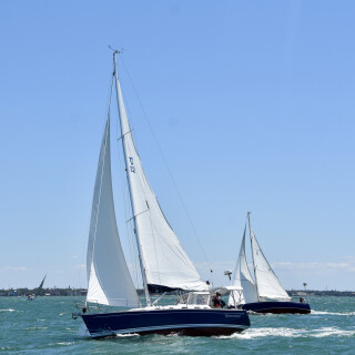 Dl29